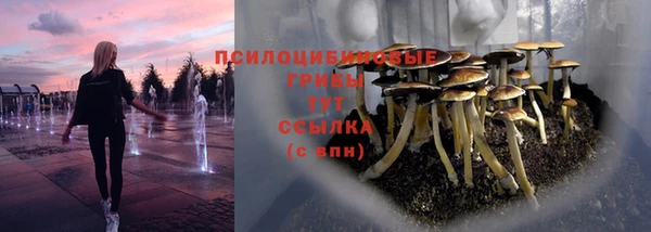 бошки Богородск