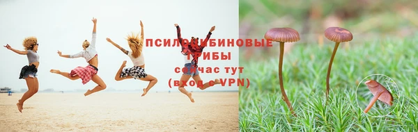 экстази Богданович