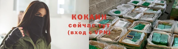 бошки Богородск