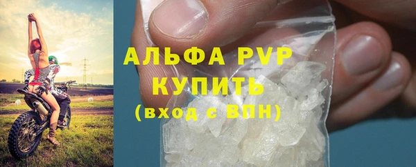 экстази Богданович