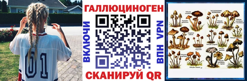 Псилоцибиновые грибы Psilocybe  KRAKEN маркетплейс  Озёрск  хочу наркоту 